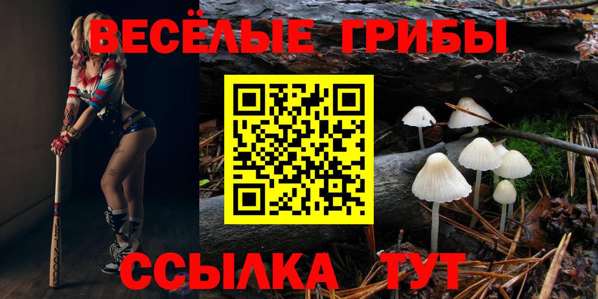 Галлюциногенные грибы прущие грибы Нефтеюганск